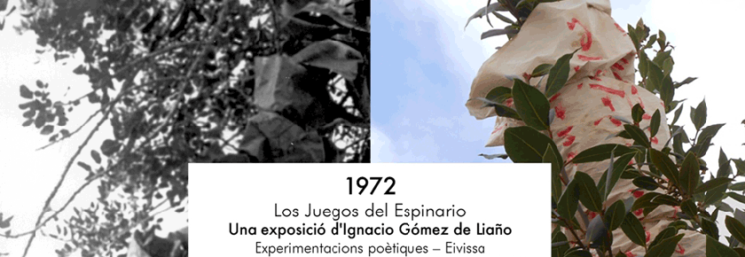 Gómez de Liaño