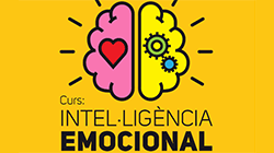 Curs Intel·ligència emocional